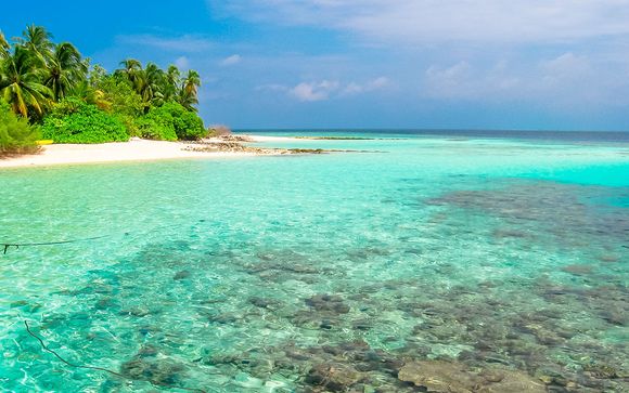 Maldivas te espera