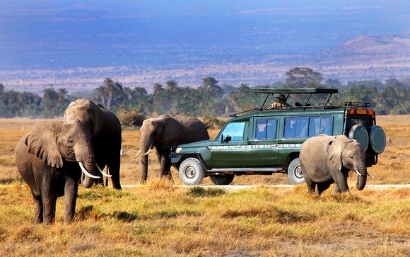 Kenia te espera