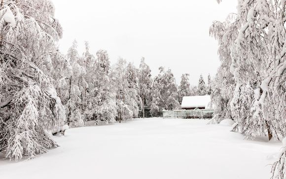 Itinerario de 4 noches - Círculo Ártico