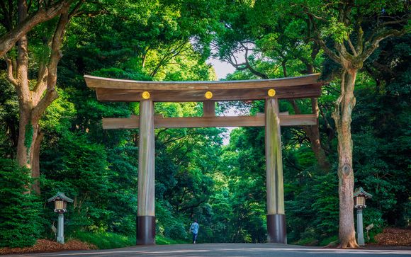 Itinerario - Salidas en grupo