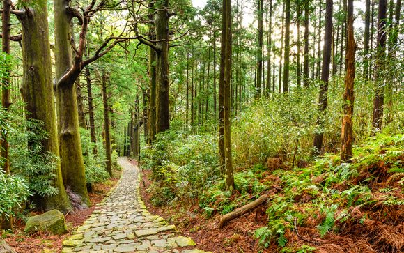 Itinerario - Salidas en grupo