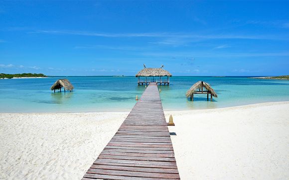 Combinado Meliá Habana 5* y Meliá Buenavista 5* - Solo Adultos