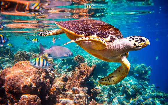 Itinerario - Salidas en grupo