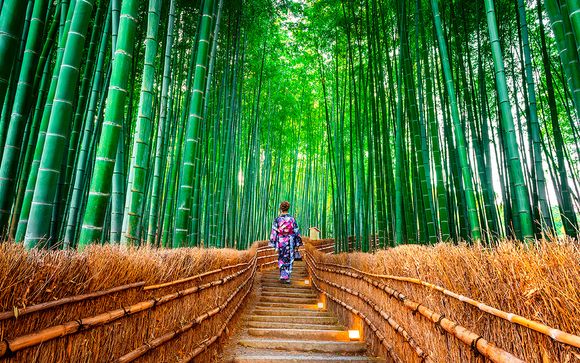 Descubriendo el lado zen de Japón
