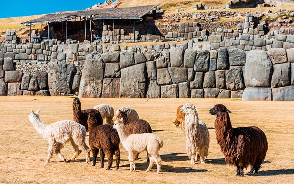 Itinerario - Salidas en grupo