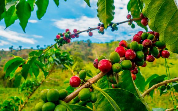 Itinerario de 7 noches