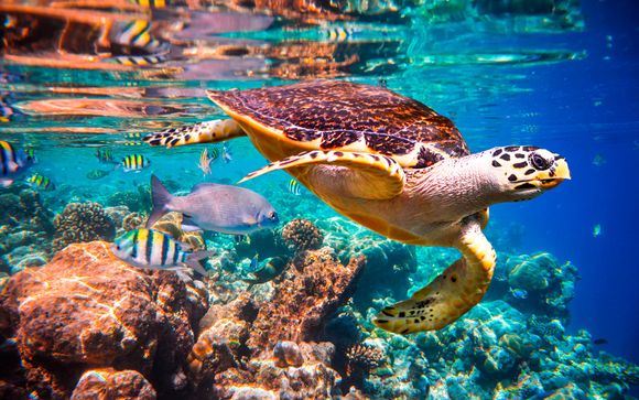 Ecuador con Crucero por las Islas Galápagos