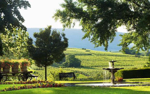 Ruta del vino por Alsacia