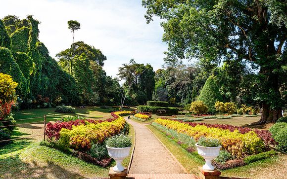 Itinerario - Salidas en grupo