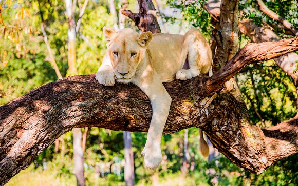 Entrada a Parc Casela