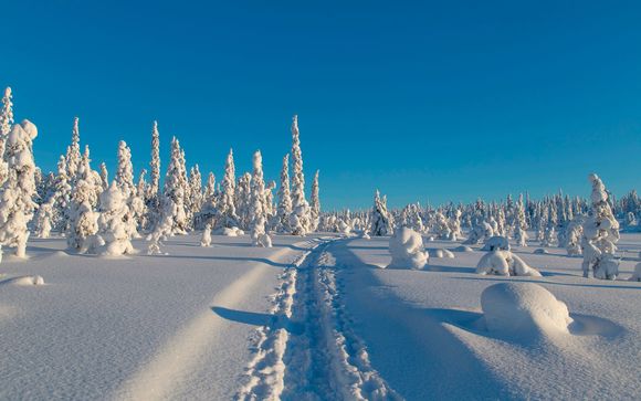 Itinerario de 6 noches - Tour por Laponia