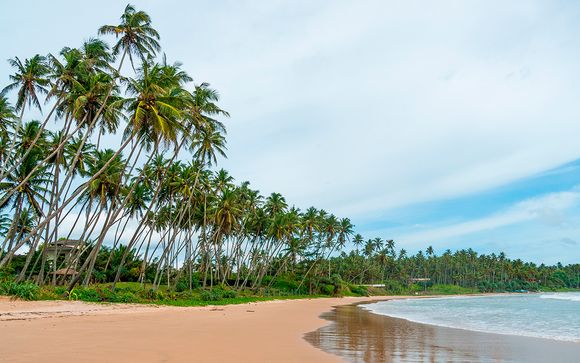 Itinerario privado - 10 noches