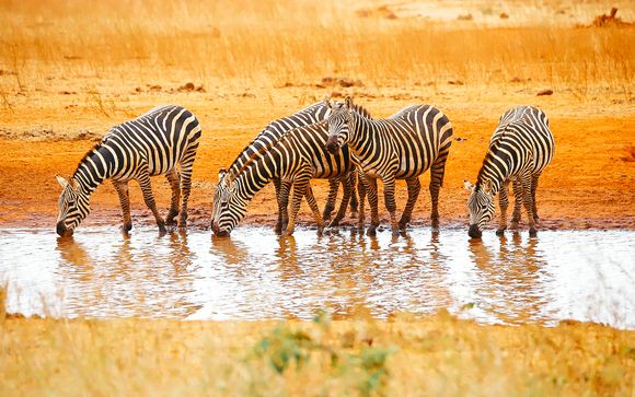 Sandies Tropical Village 4*