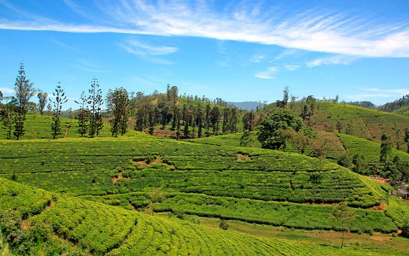 Itinerario privado - 10 noches