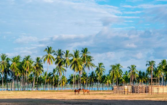 Itinerario de 8 noches - Visitas sugeridas