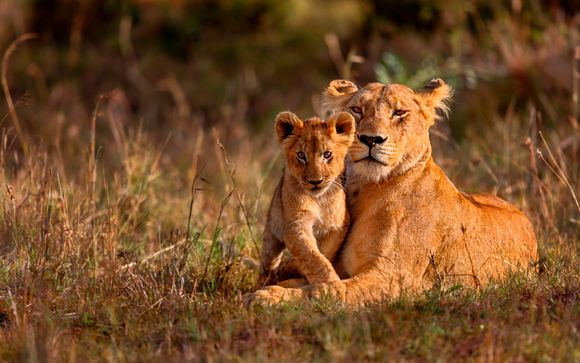 Itinerario - Salidas en grupo