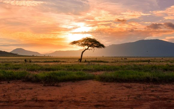 Rendez-vous... au Kenya