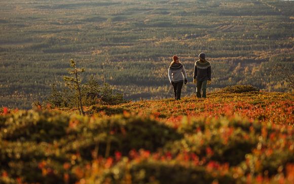 Forfait automne inclus - (01/09/25 - 22/11/25)