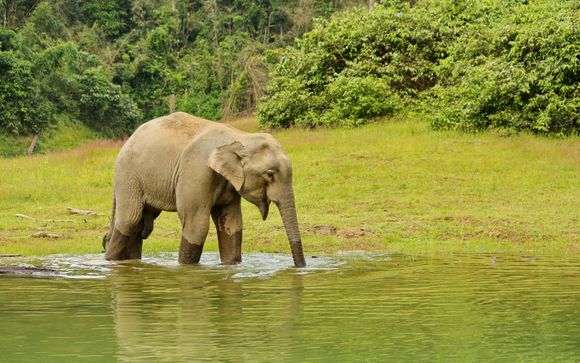 Vos excursions en Thaïlande