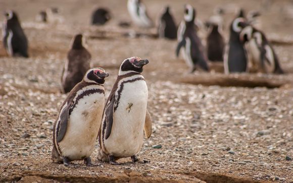 Mettez une option sur l