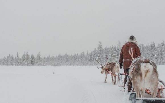 Safari hivernal en traîneau à rennes (2h) -  inclus pour les séjours du 24/11/2025 au 14/04/2026