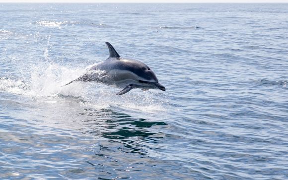 Vos excursions incluses pour plus d