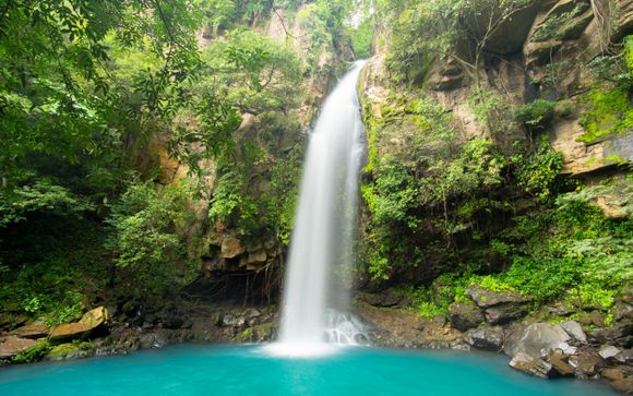 Mettez une option sur l