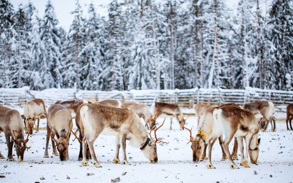 Votre option incluse