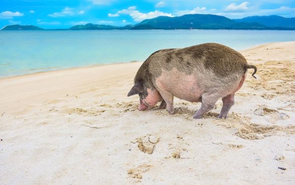 Mettez une option sur l