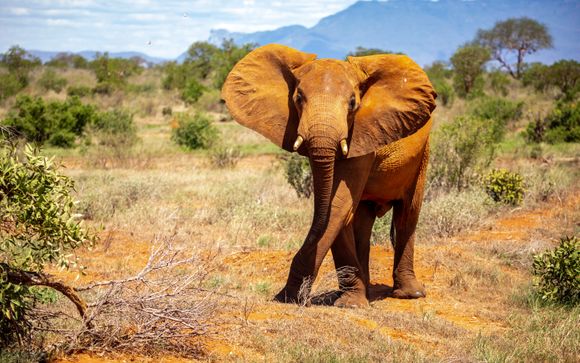 Votre séjour en un clin d'oeil