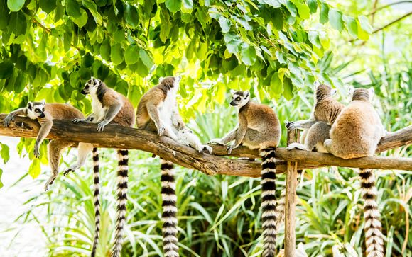 Circuit en 11 jours / 10 nuits