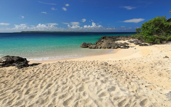 Mettez une option sur l