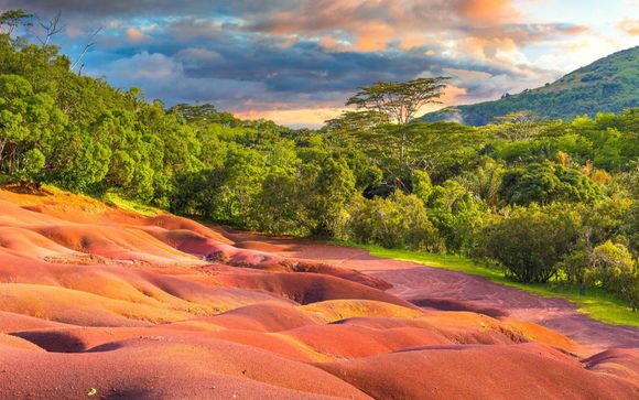 Mettez une option sur l