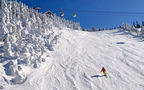 Mettez une option sur l