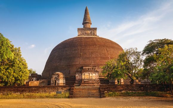 Mettez une option sur l