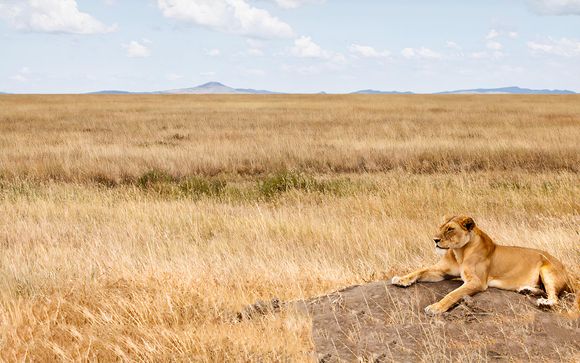 Rendez-vous... en Tanzanie