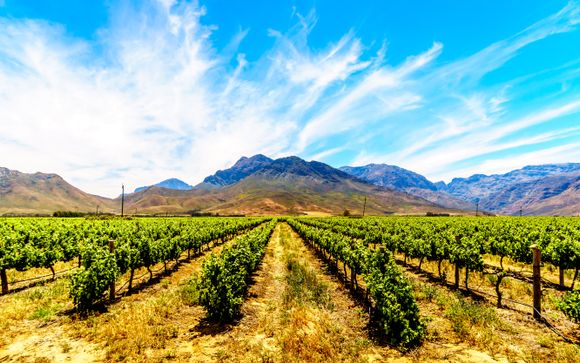 Excursion d’une journée complète dans les régions viticoles (pour les séjours de 5 nuits)