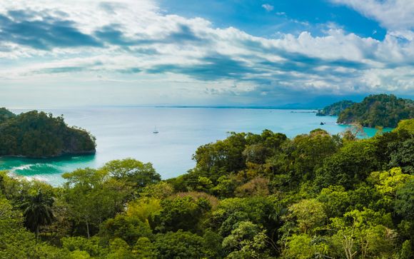 Zoom sur votre programme