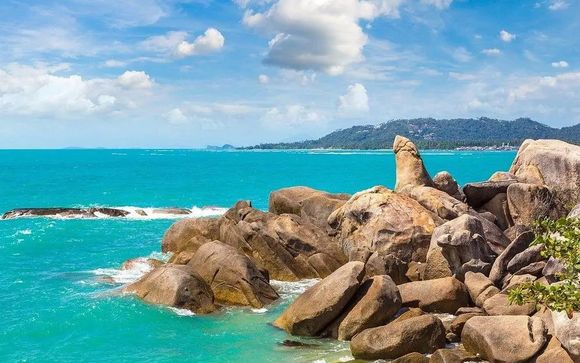 Zoom sur votre programme