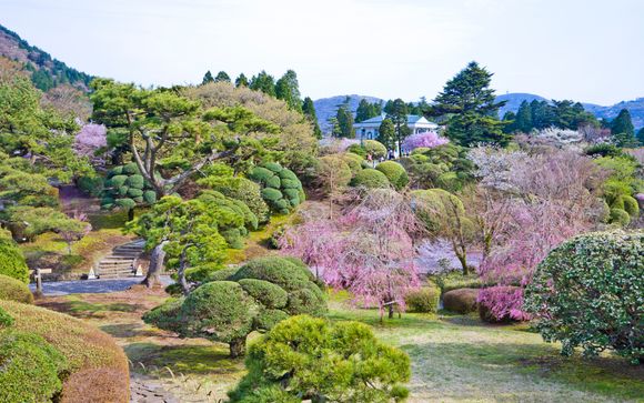 Zoom sur votre programme