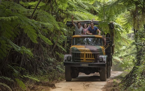 Zoom sur votre programme