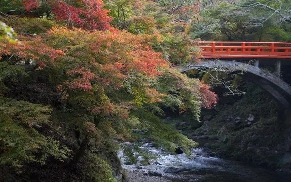 Mettez une option sur l