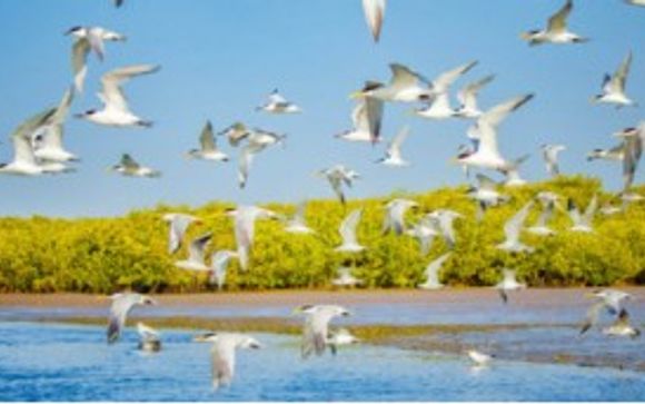 Mettez une option sur l