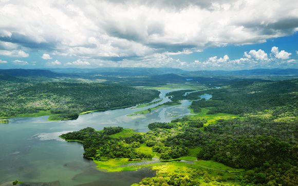 Mettez une option sur l