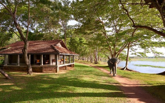 Pour votre confort durant le circuit