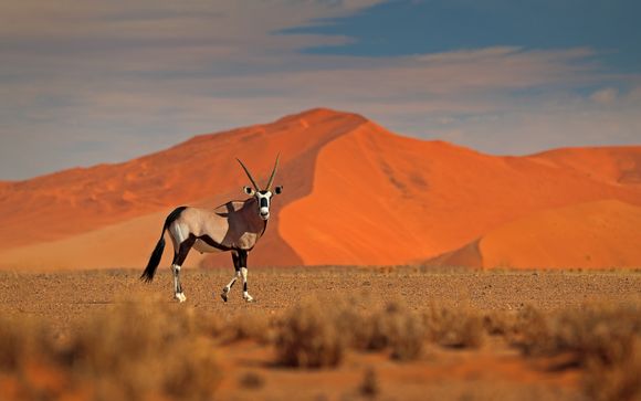 Zoom sur votre programme