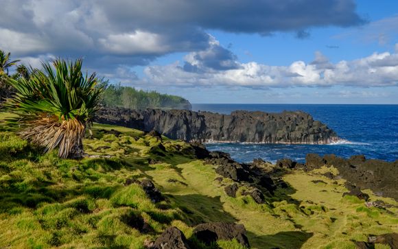 Zoom sur votre programme