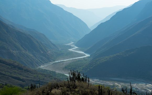 Zoom sur votre programme