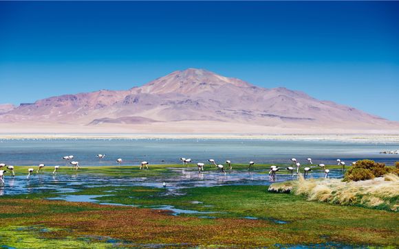 Zoom sur votre programme