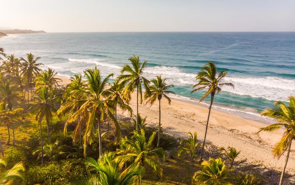 Zoom sur votre programme